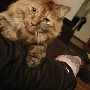 Meet your Posher, Mike